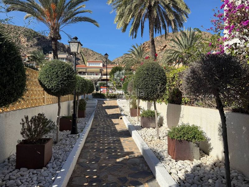 Foto 81920525-2445-447d-833a-f2fe2686f5d4. Apartament amb aparcament piscina a calas Santa Pola este Santa Pola