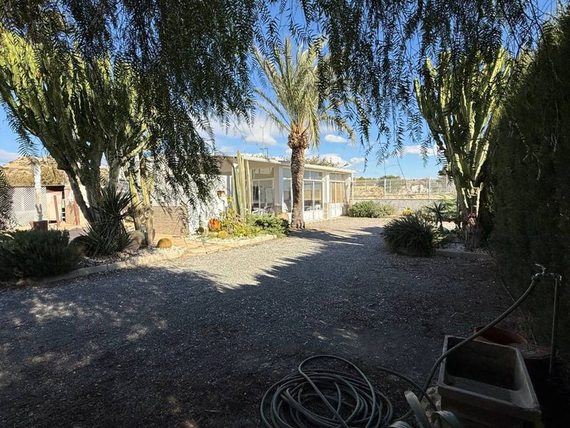 Foto 0097b680-950c-4d5c-97ca-b02daae97597. Masia a Jubalcoi Elche / Elx