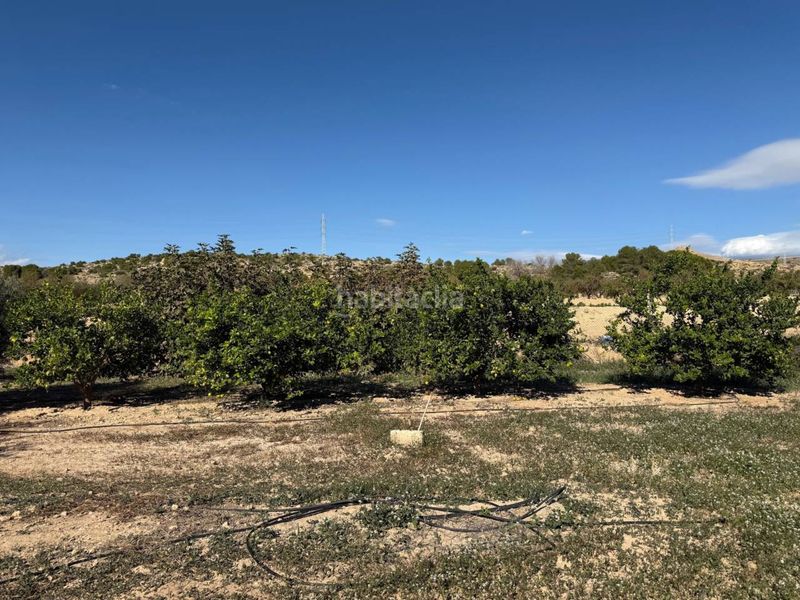 Foto 0d6ad082-7b9a-474d-8f5d-8063f692ad3f. Masia a Jubalcoi Elche / Elx