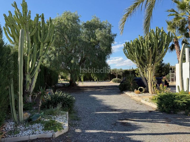 Foto 135df826-e242-4b59-a7cd-6d101bd0dc96. Masia a Jubalcoi Elche / Elx