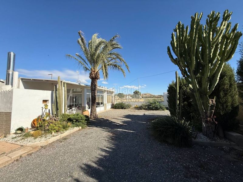 Foto 2eacdfdc-ff2f-4e1e-b3d6-86b482feb393. Masia a Jubalcoi Elche / Elx