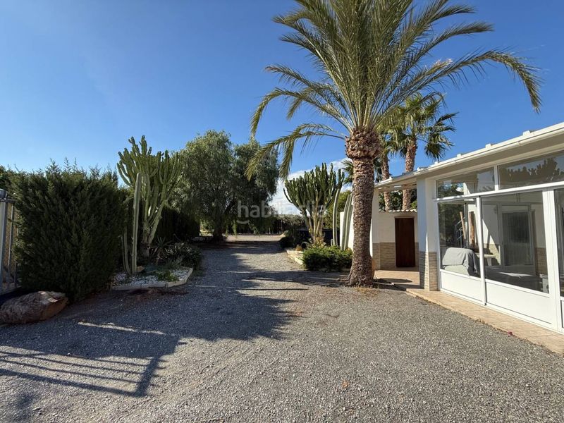 Foto 315470c5-8d33-44f9-9423-5744b6c20006. Masia a Jubalcoi Elche / Elx