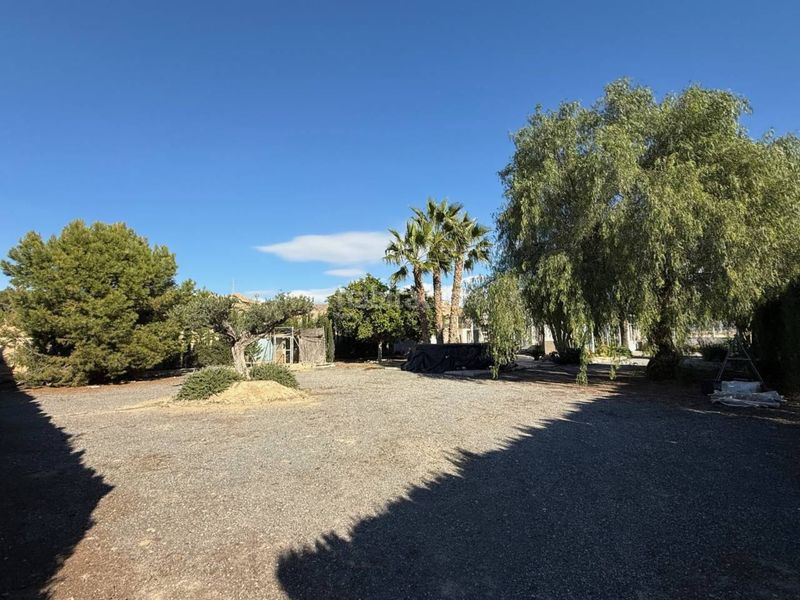 Foto 34e37ee1-00c8-4edd-aa64-edbb9630662d. Masia a Jubalcoi Elche / Elx