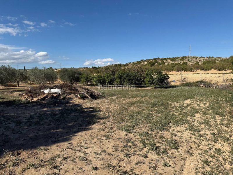 Foto adb0410d-1b42-4652-b7d6-36eaadda91c0. Masia a Jubalcoi Elche / Elx