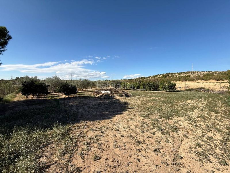 Foto ae0e9cfb-d62f-4f40-99c6-d0358c634b65. Masia a Jubalcoi Elche / Elx