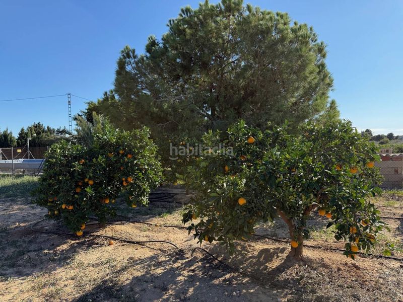 Foto ca59c7d5-129f-419e-957e-5a09f87862eb. Masia a Jubalcoi Elche / Elx