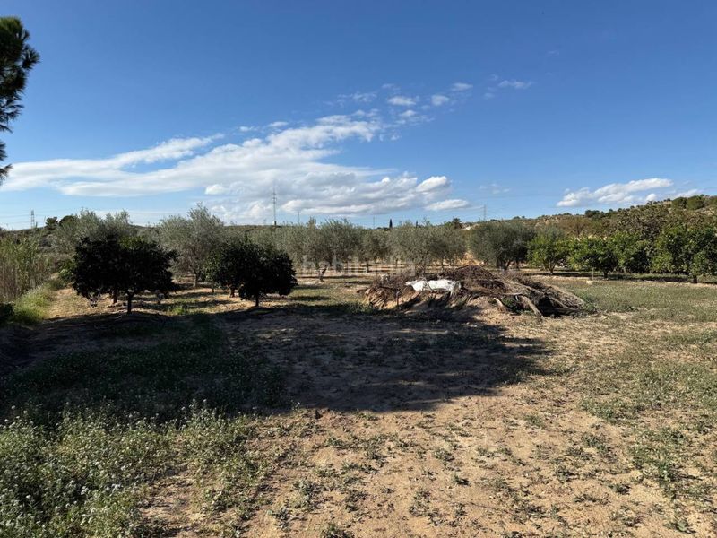 Foto cb55e316-d18a-4758-b876-9ec3e23c351c. Masia a Jubalcoi Elche / Elx