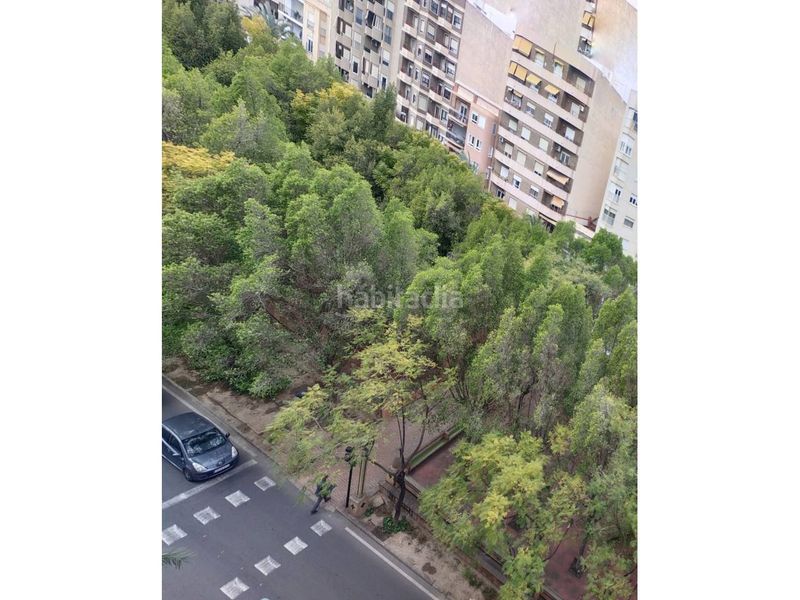 Foto fd00dd38-3b40-4132-a9df-5643db934e2f. Pis a Pont Nou - Corazón de Jesús Elche / Elx