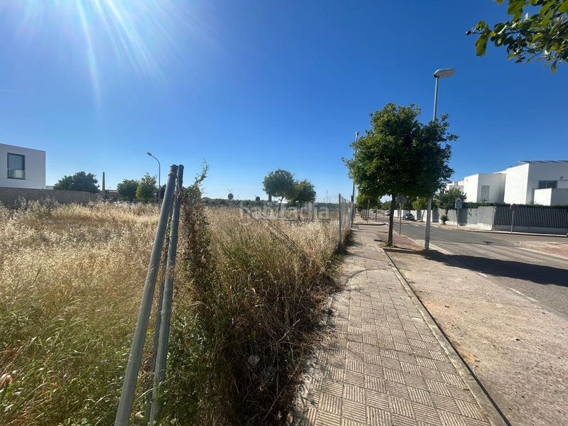 Foto 93c8e9ff-0dd6-4cbb-8abe-d11d4c8aa200. Terreny residencial a Centro Utrera