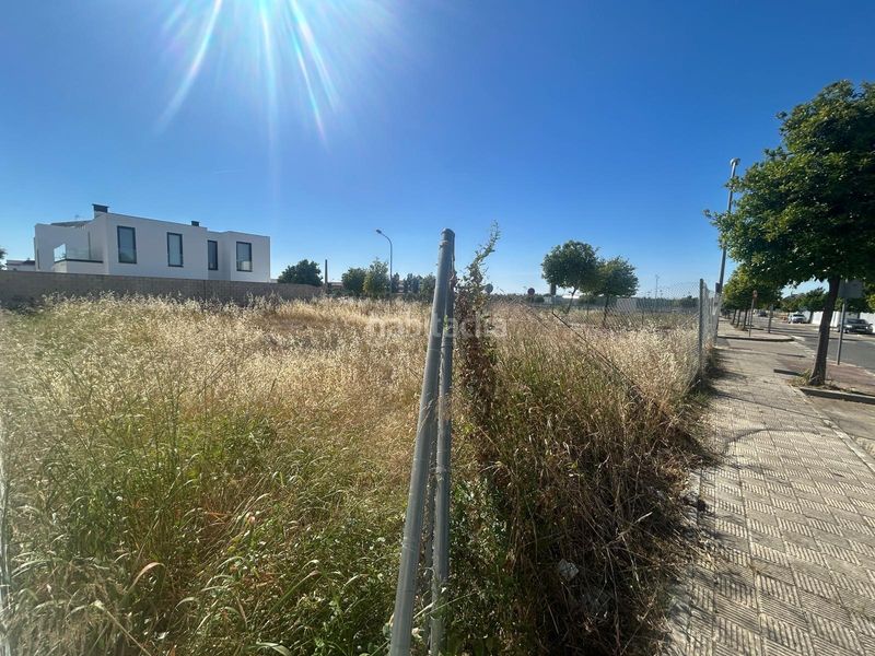 Foto a43eea3a-2c39-40a3-813a-aec401489f78. Terreny residencial a Centro Utrera