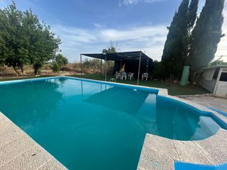 Rural plot in Pedanías Norte. Campo por los granadillos!