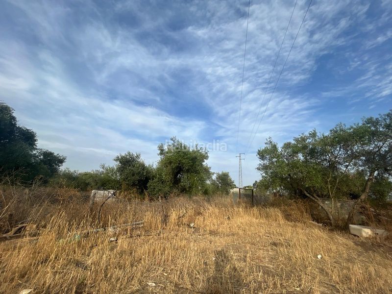 Foto a34571ec-c015-4958-be7d-60d4182bce8a. Finca rústica a Pedanías Norte Utrera