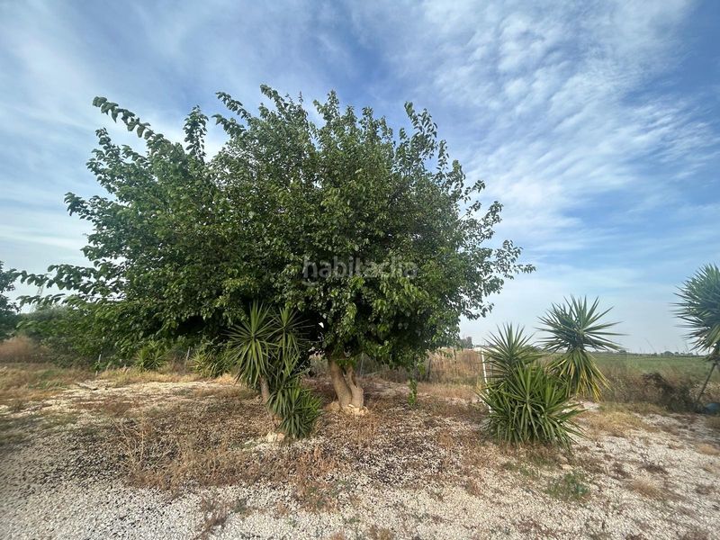 Foto d4d32bdb-e20b-4fa4-b9e2-bab2931ea841. Finca rústica a Pedanías Norte Utrera