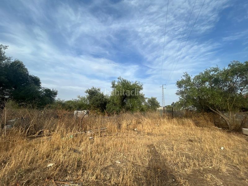 Foto ed19df4e-7bcf-4a4d-9013-83784e91913b. Finca rústica a Pedanías Norte Utrera