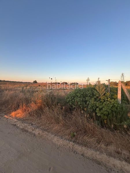 Foto 29d51e83-f658-4ddb-bc91-1c4513252217. Finca rústica a Pedanías Norte Utrera