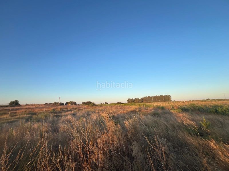 Foto 30aeb96e-6fe1-40f2-aa4e-ea37e575fea6. Finca rústica a Pedanías Norte Utrera