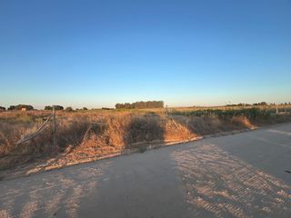 Finca rústica a Pedanías Norte. Terreno en la indiana!