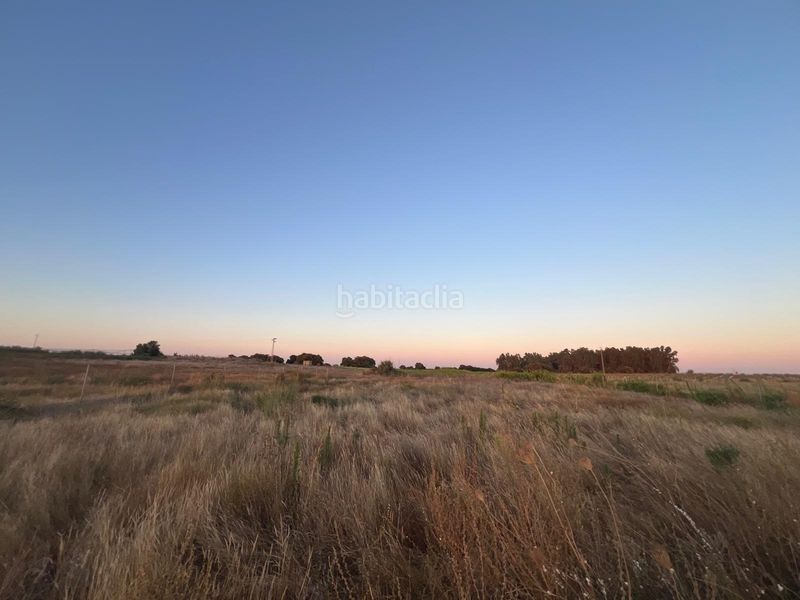 Foto 5fbfd791-2f05-44e8-8189-1b244e481de3. Finca rústica a Pedanías Norte Utrera