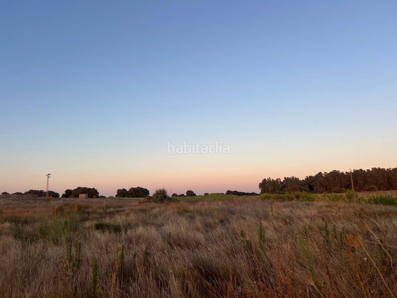 Foto 7b803484-f3fb-45e6-a0cd-d622492937d9. Finca rústica a Pedanías Norte Utrera