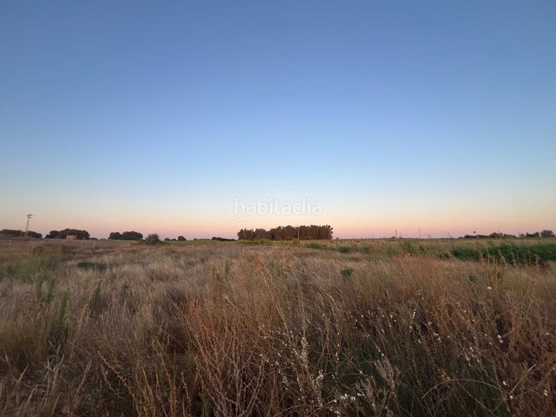 Foto 80868249-9cec-4e76-82d6-ce1a1e6b3341. Finca rústica a Pedanías Norte Utrera