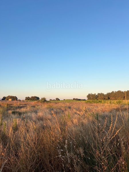 Foto 9fa9c6ef-6c04-4440-abc3-edd6f967d4c6. Finca rústica a Pedanías Norte Utrera