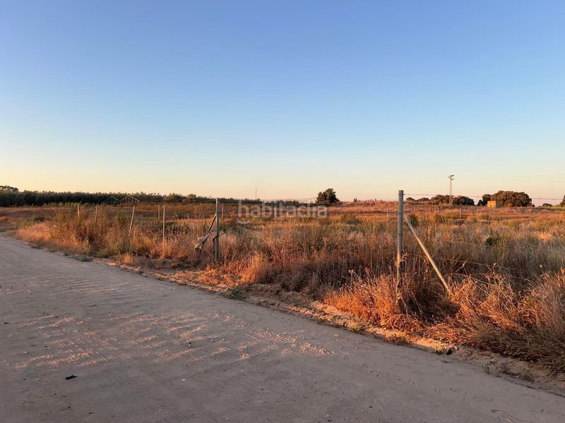 Foto bddd31a3-3ce4-45fd-b7ee-a4c5fa4495e0. Finca rústica a Pedanías Norte Utrera