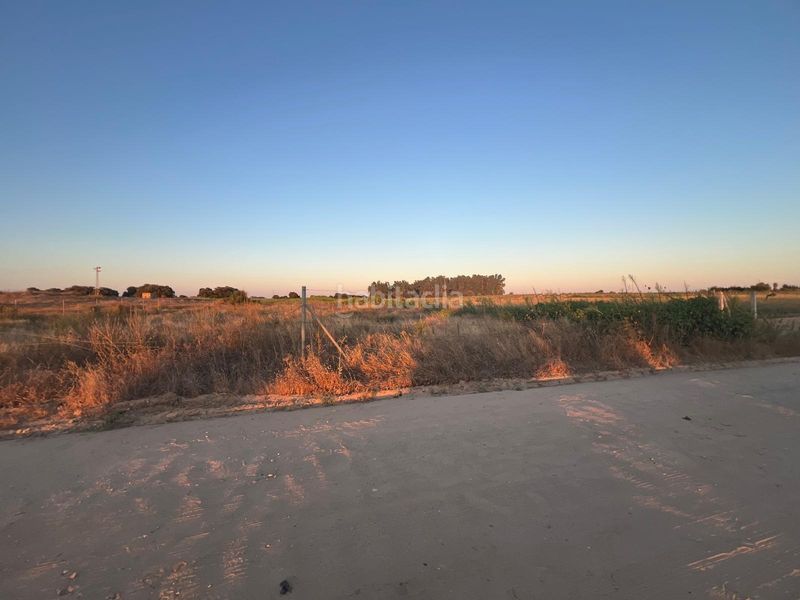 Foto be16e0a1-e3f7-4703-a94c-7e9544e846d9. Finca rústica a Pedanías Norte Utrera