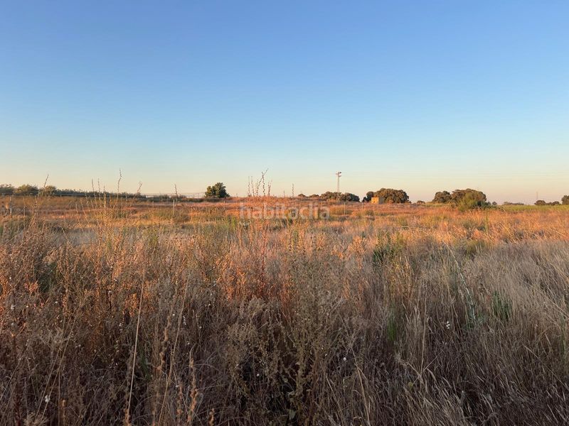 Foto d9a75670-d899-4fe8-b721-45fa4481d764. Finca rústica a Pedanías Norte Utrera