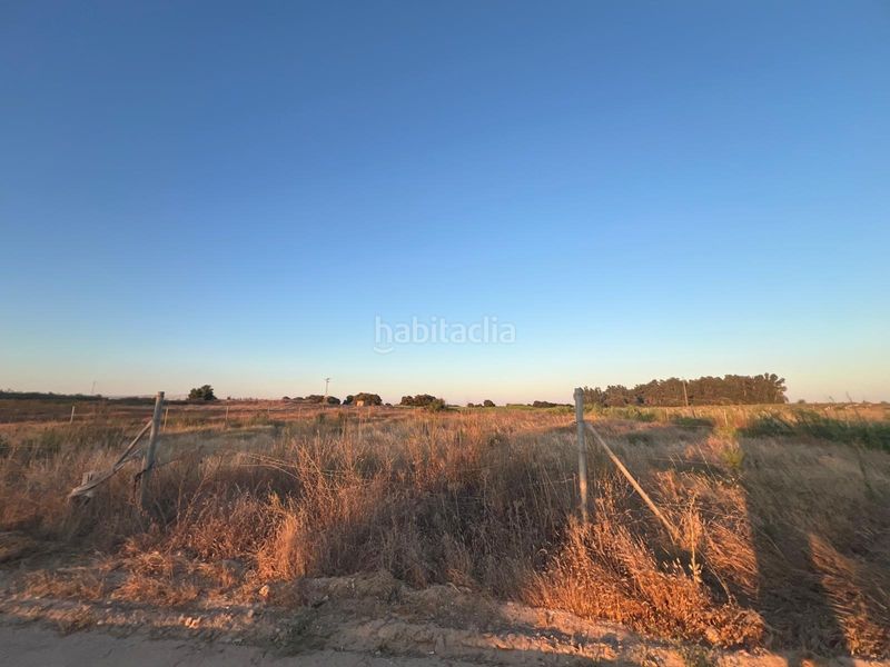 Foto e640d6f4-f5a8-4349-81b9-6d2c72efb994. Finca rústica a Pedanías Norte Utrera