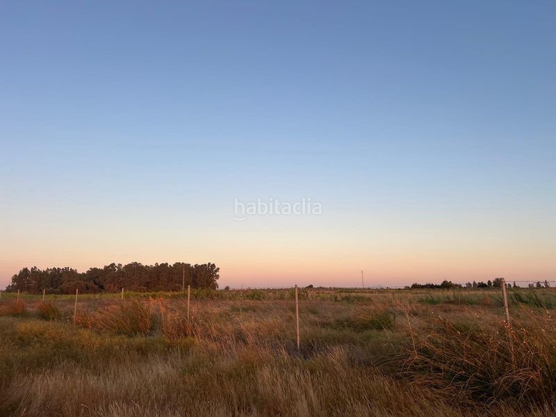 Foto e98fb228-dbe5-4b7f-b673-ccd650fe1eda. Finca rústica a Pedanías Norte Utrera