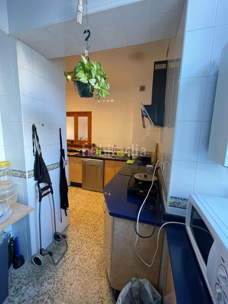 Foto 4046e2ba-cadf-4fff-98aa-0736c2d2f9a7. Pis a Torre Cruz - Los Molinos Utrera