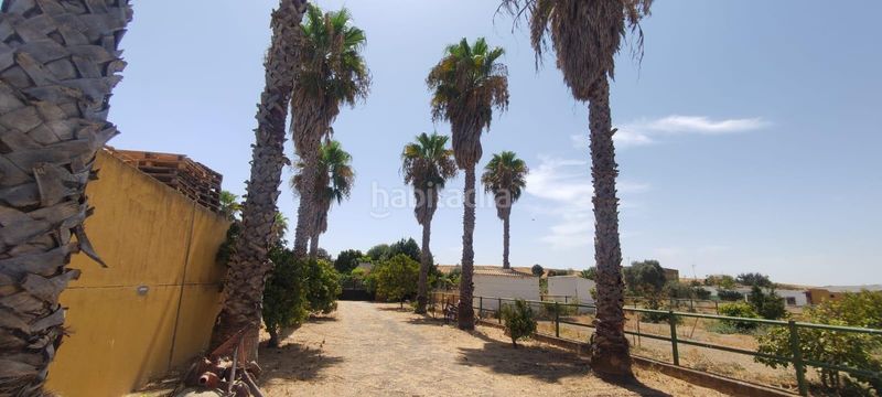 Foto 54fe15c6-8f07-40f5-8985-a90d1875c14d. Xalet amb aparcament piscina a Pedanías Sur Utrera