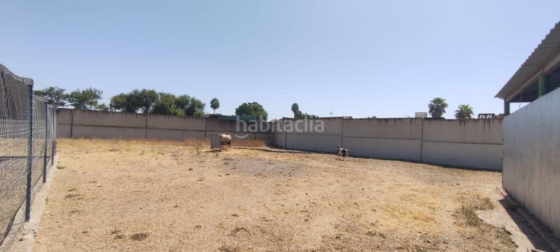 Foto e377f9a5-c9ae-45f0-8dfa-ba5aa1e6b31b. Xalet amb aparcament piscina a Pedanías Sur Utrera