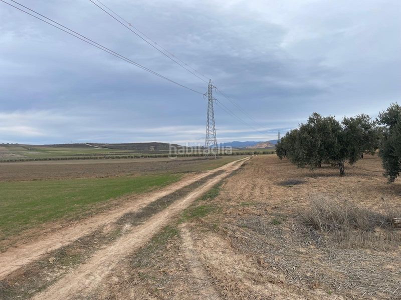 Foto 08dbb037-fed4-4e03-8131-8b32799b9d25. Finca rústica a camino 18130 a Escúzar