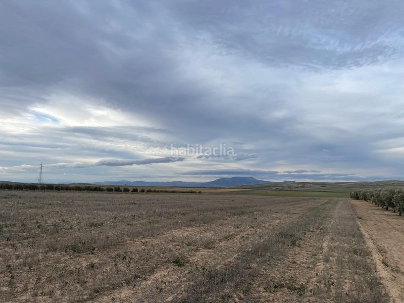 Foto 29e24814-23a9-4c91-919e-35f4798f8ae6. Finca rústica a camino 18130 a Escúzar