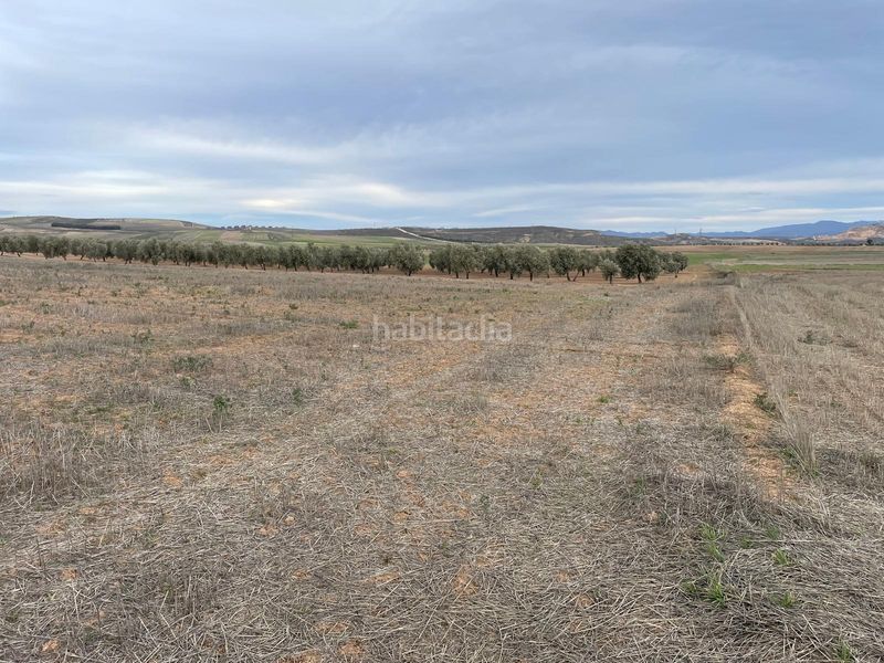 Foto 6d1fa6c5-2a59-44e8-a74d-83eafbde6877. Finca rústica a camino 18130 a Escúzar