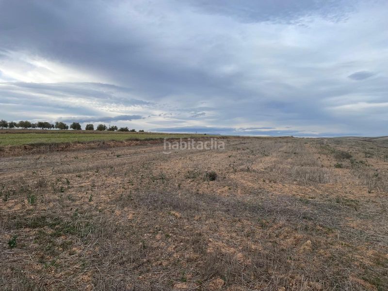 Foto 9b2bc858-74ca-4088-b9a6-7c02f935d8cc. Finca rústica a camino 18130 a Escúzar