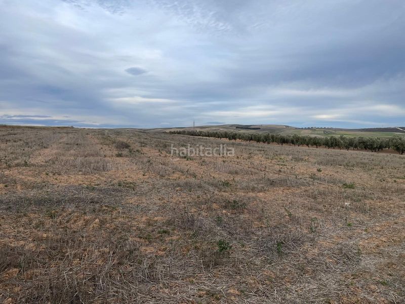 Foto e8926d98-44e5-4dc4-a5f2-d1f878a5463d. Finca rústica a camino 18130 a Escúzar