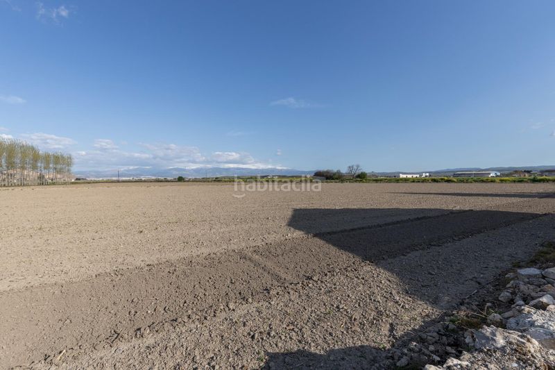 Foto 1451f3a9-5a79-4d80-9796-fc1c5f881e40. Masia a Pinos Puente