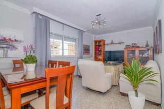 Pis en Cartuja