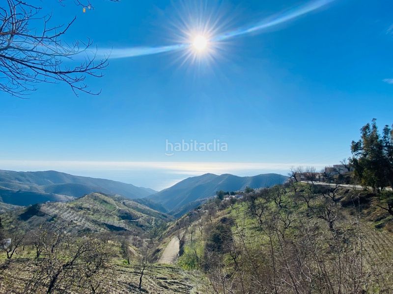 Foto d1b997ed-ea78-4968-be9f-0258c12b8f90. Local comercial a Sorvilán