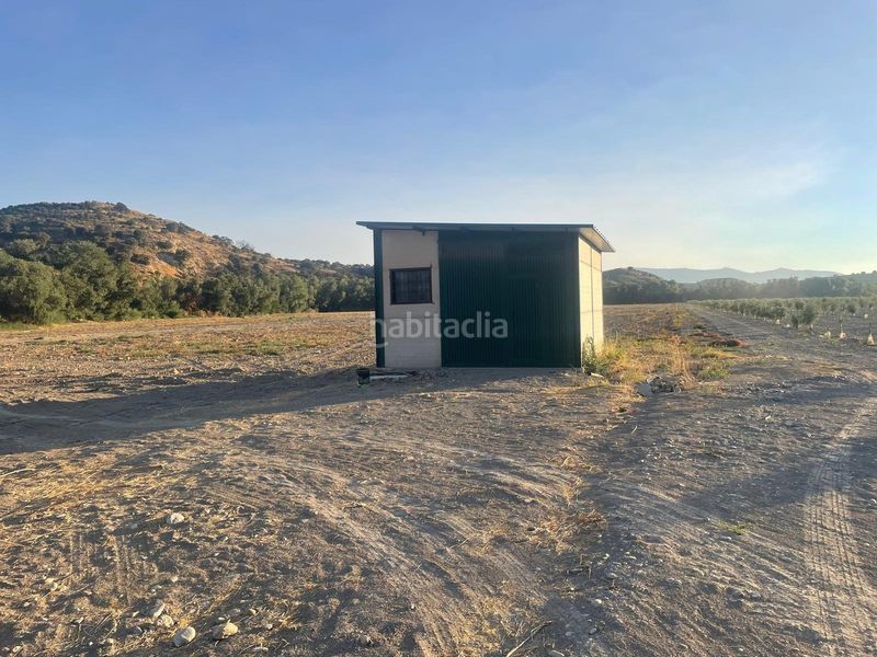 Foto 42a13979-7b6d-4852-b058-da820c952546. Terreny residencial a Íllora 20 a Íllora
