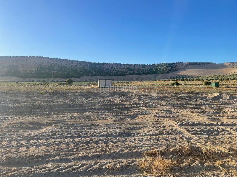 Foto 451b921d-b6b5-45e4-b323-335dcce0786a. Terreny residencial a Íllora 20 a Íllora
