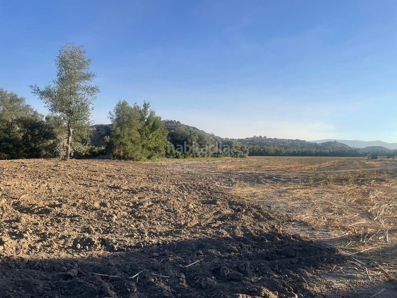 Foto b3f73c63-eef2-4e1c-8ab1-5c46b04d1bfd. Terreny residencial a Íllora 20 a Íllora