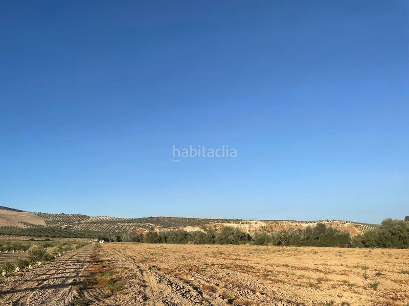 Foto e8190973-e73b-454d-8c88-3c003850713b. Terreny residencial a Íllora 20 a Íllora