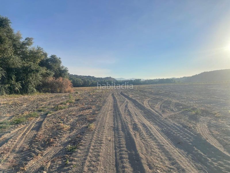 Foto fca2c2d5-3dca-4d36-bbea-8e11acd60dad. Terreny residencial a Íllora 20 a Íllora