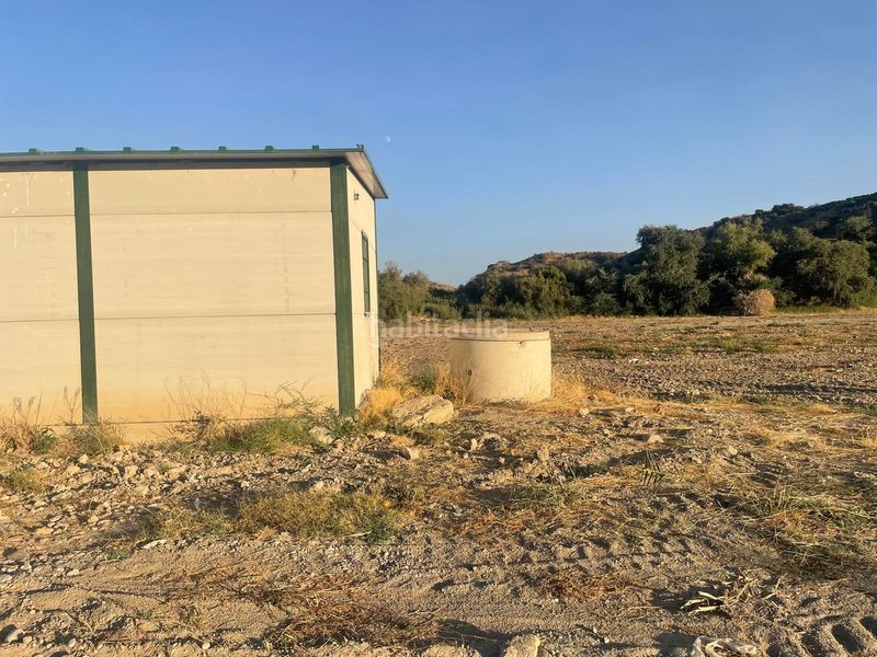 Foto fe94df7f-0a62-4fd8-ad89-897d3811afd0. Terreny residencial a Íllora 20 a Íllora