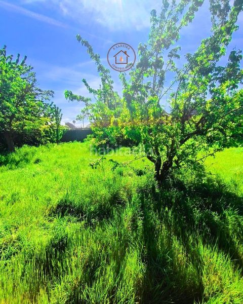 Foto f18be564-98de-41c9-9a6d-2ae09a422f25. Casa a Xinzo de Limia