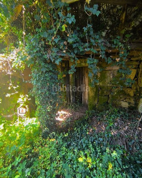 Foto b9d9f006-7a81-43ca-87d8-eca8b276c23f. Masia a Amoeiro