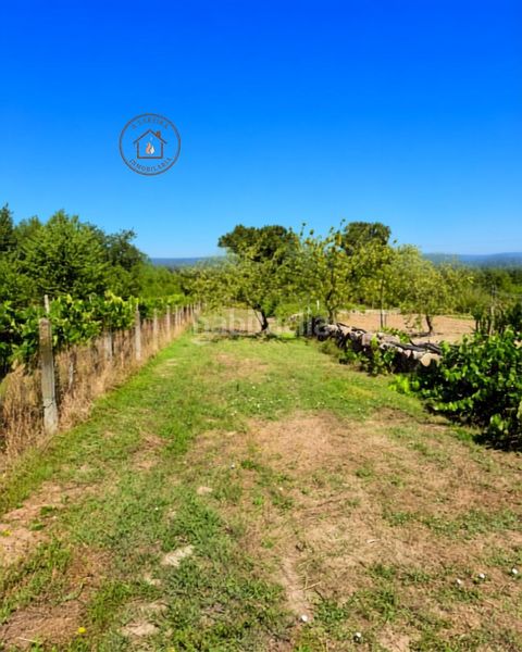 Foto c618bbf1-d0e1-4407-b2db-e166bdcb7b3a. Casa amb aparcament a Taboadela
